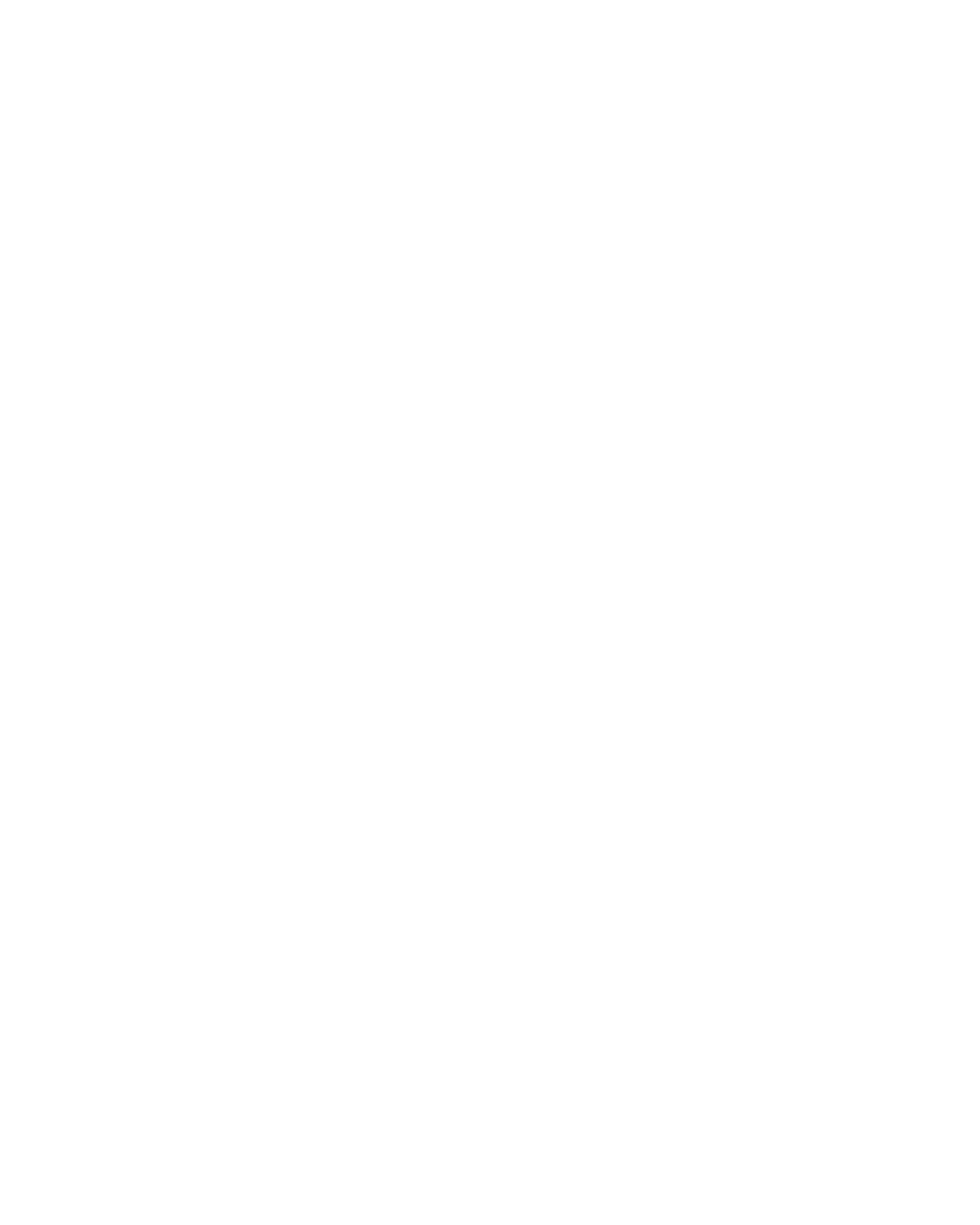Sarajglass